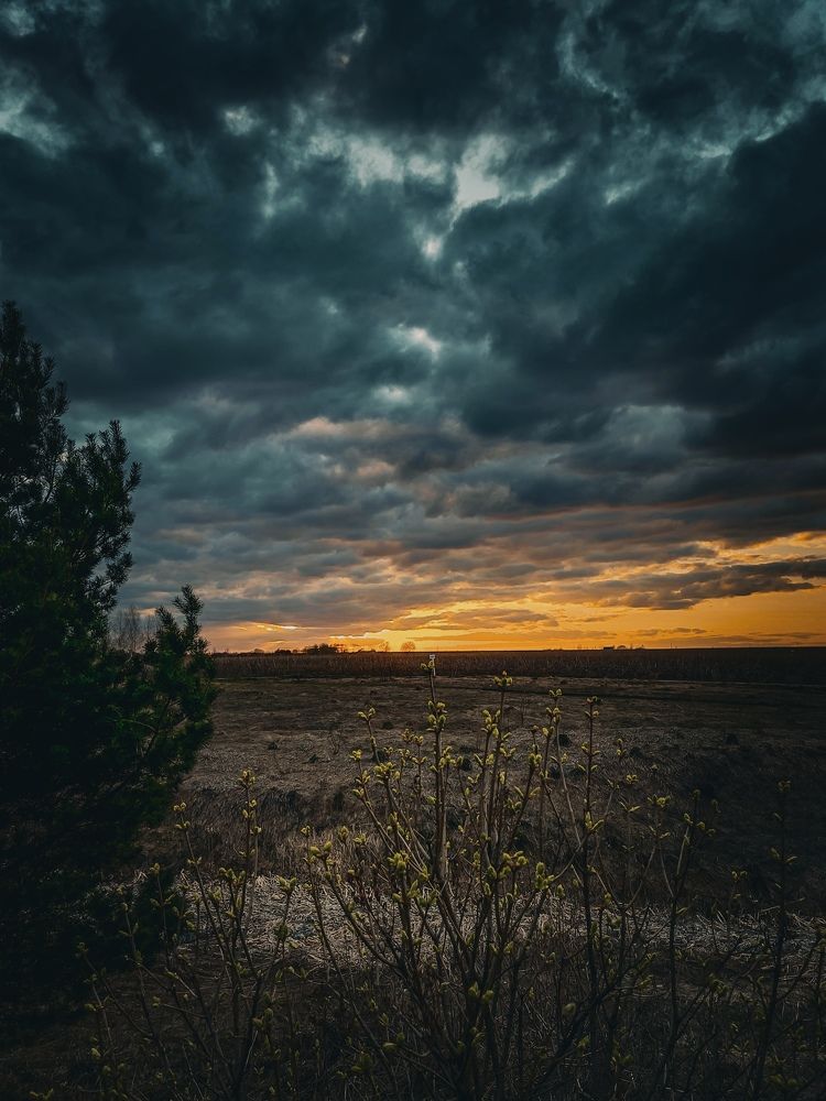 Photograph by Александр Мандрико