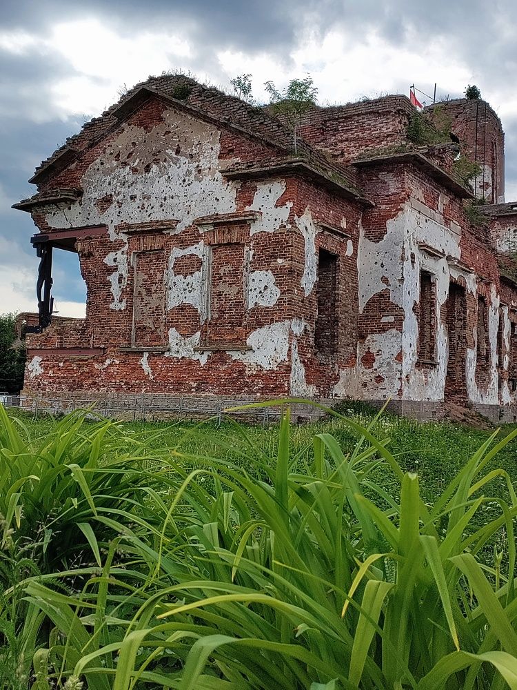 Photograph by Елена Шишкина