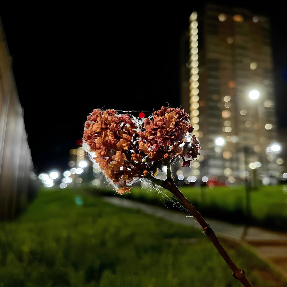 Photograph by Александр Михайлович