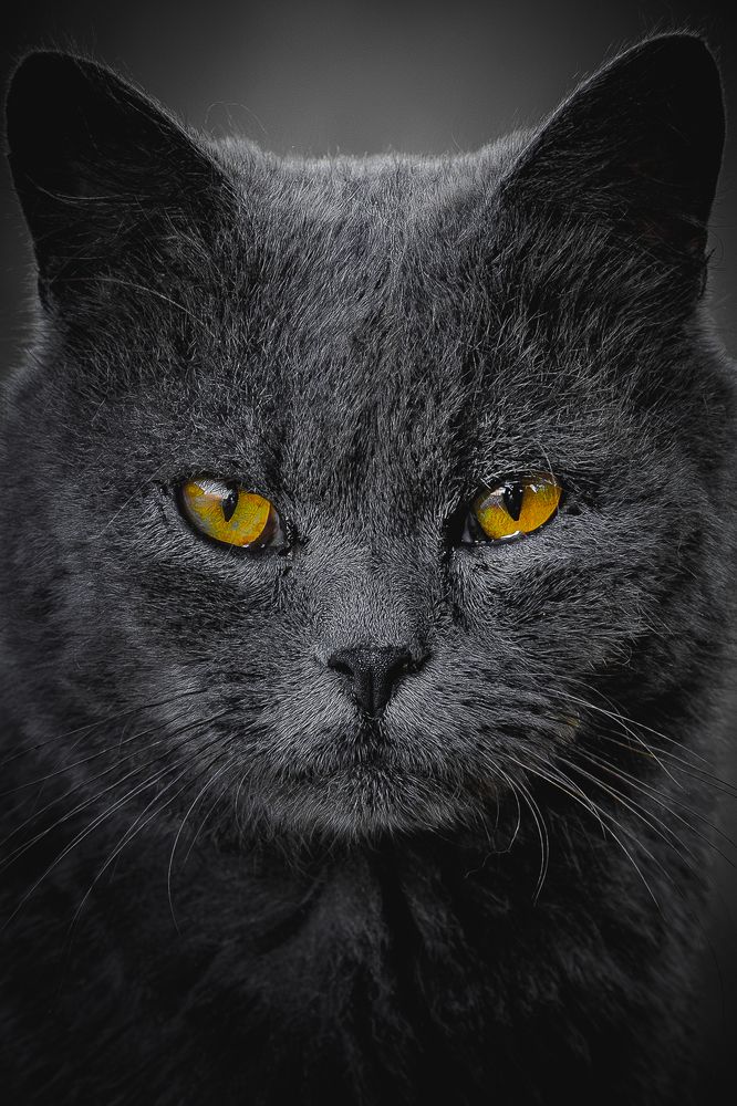 Photograph by Dmitry