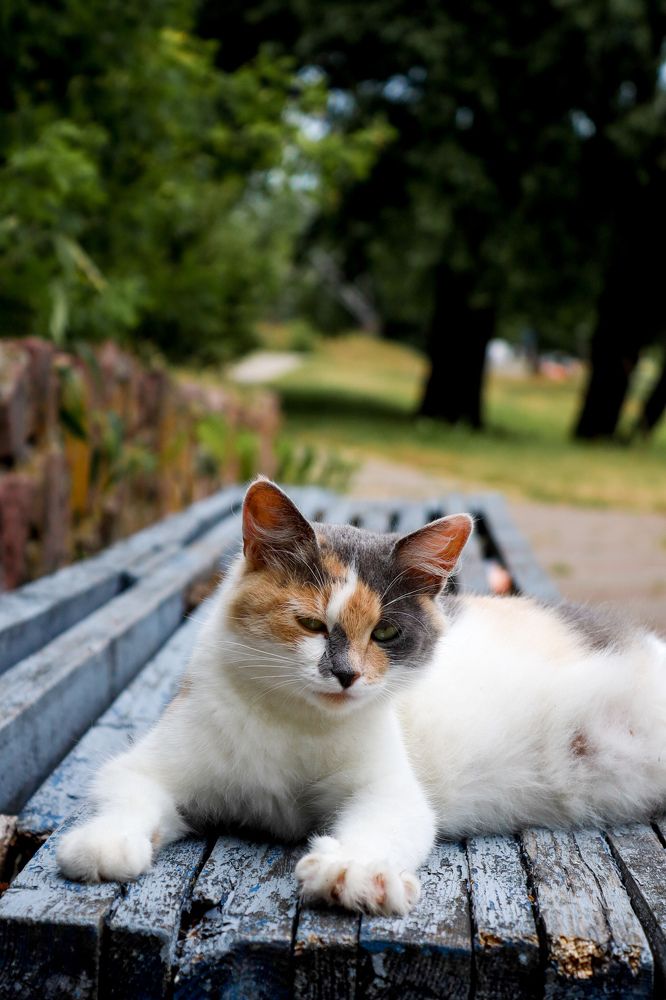 Photograph by Оксана Хабарова