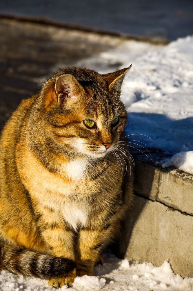 Photograph by Оксана Хабарова