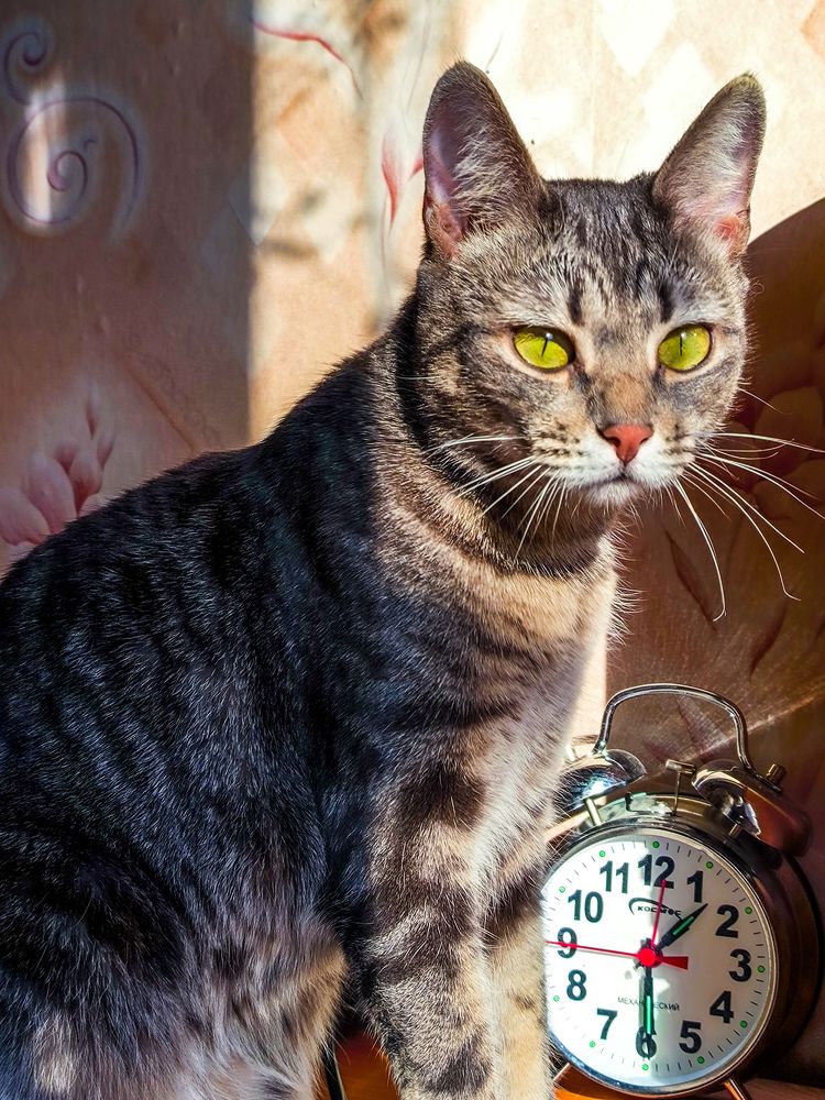 Photograph by Оксана Хабарова