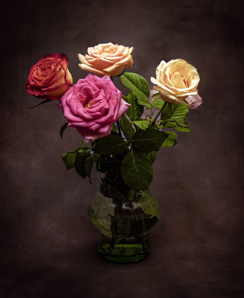 Photograph by Alex Kalpus