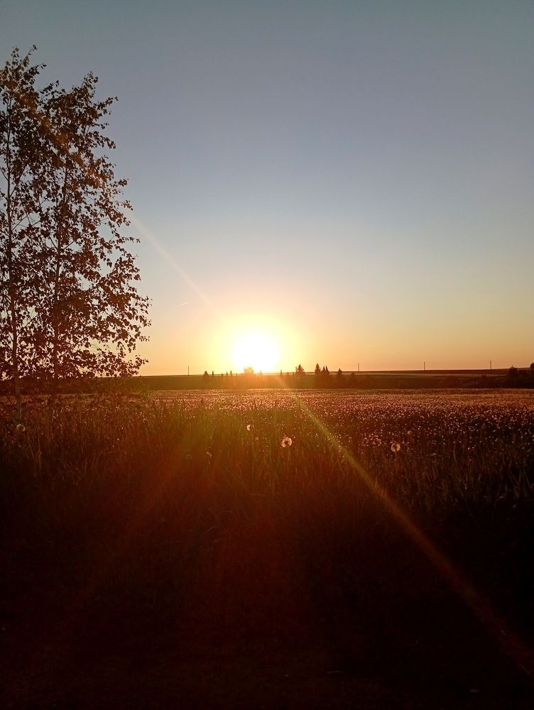 Photo #10699381