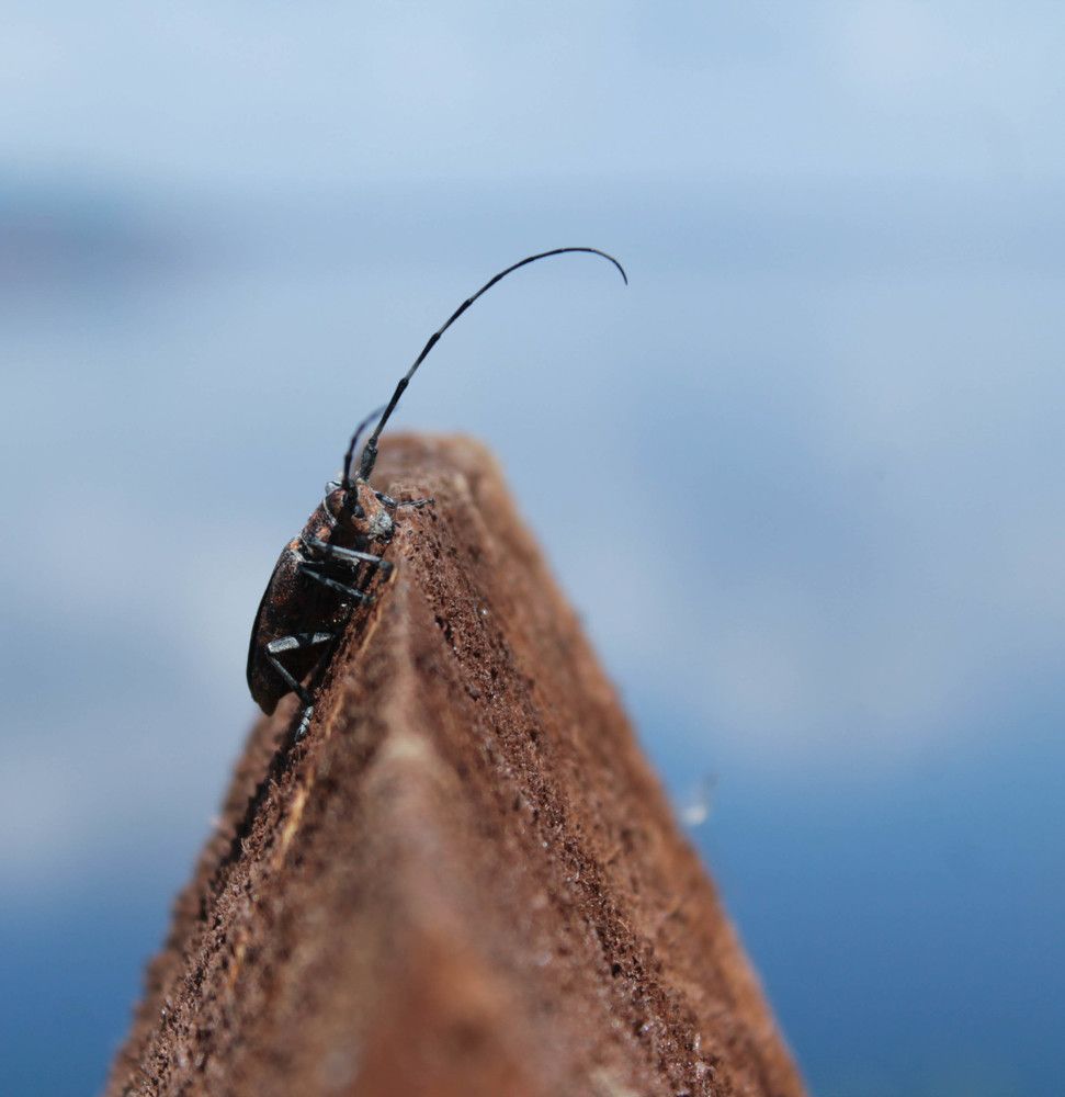 Photograph by Любовь Иванова