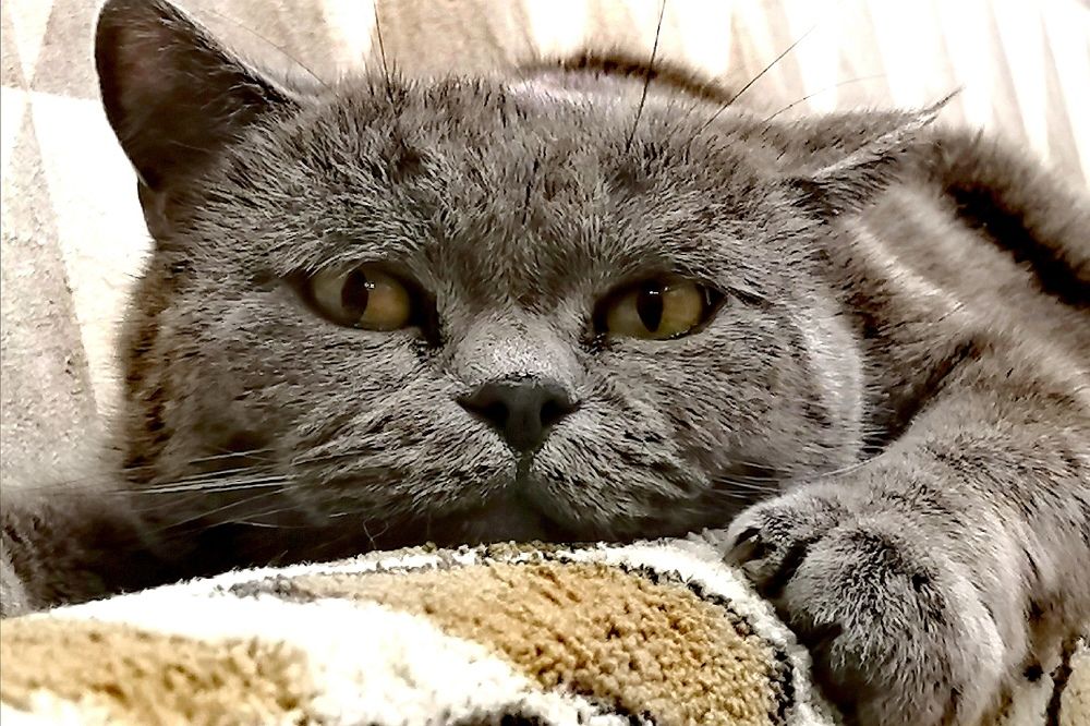 Photograph by Дмитрий Петренко