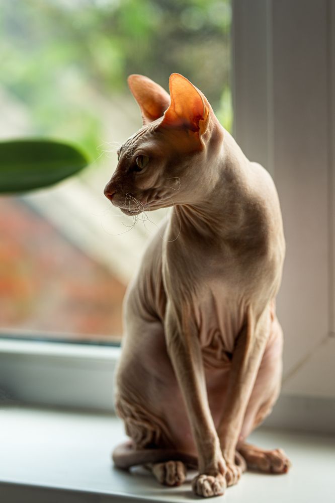 Photograph by Галина Молчанова