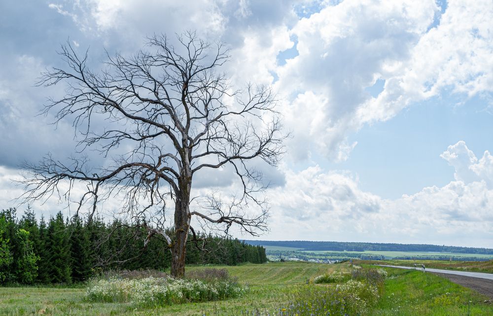 Фотография автора Ильшат Абдуллин