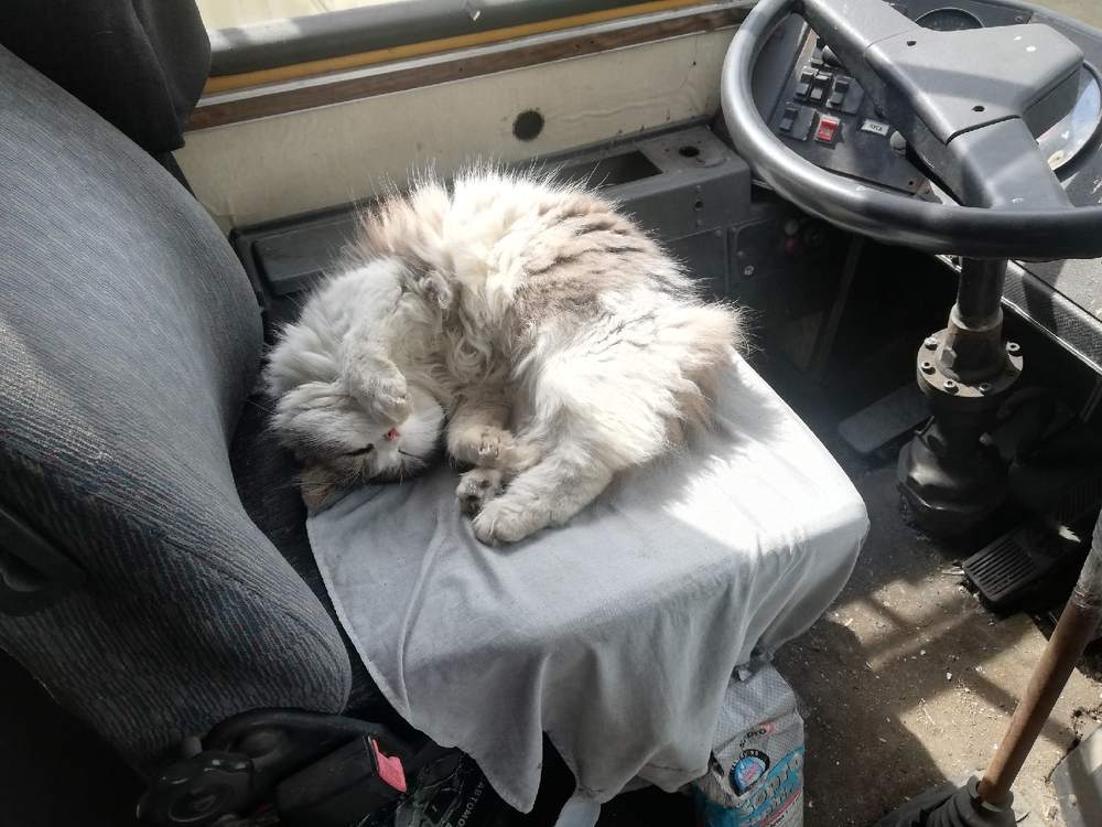 Photograph by Дмитрий Романов