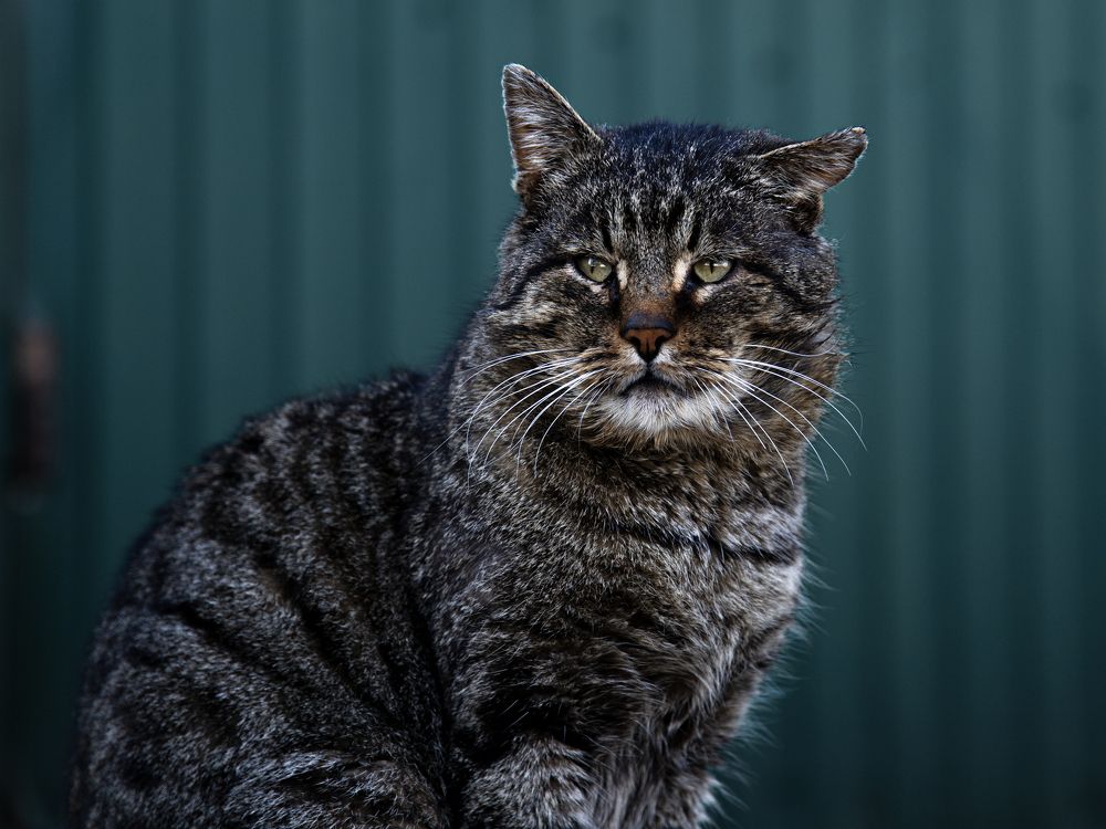 Photograph by Георгий Горшков