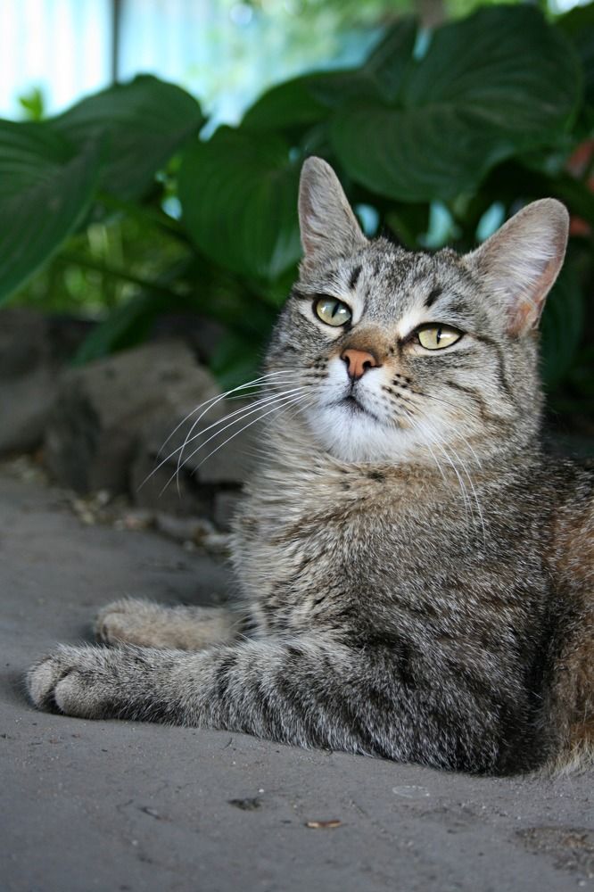 Photograph by Виктория