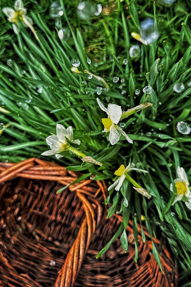 Фотография автора Елена Декерт