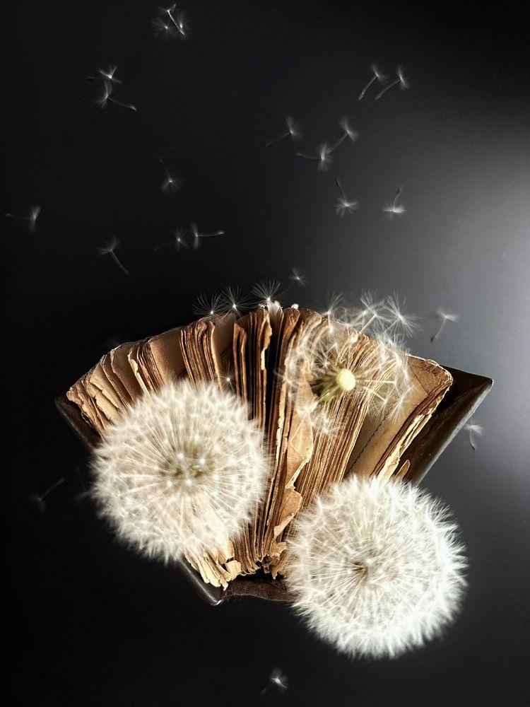 Фотография автора Елена Декерт