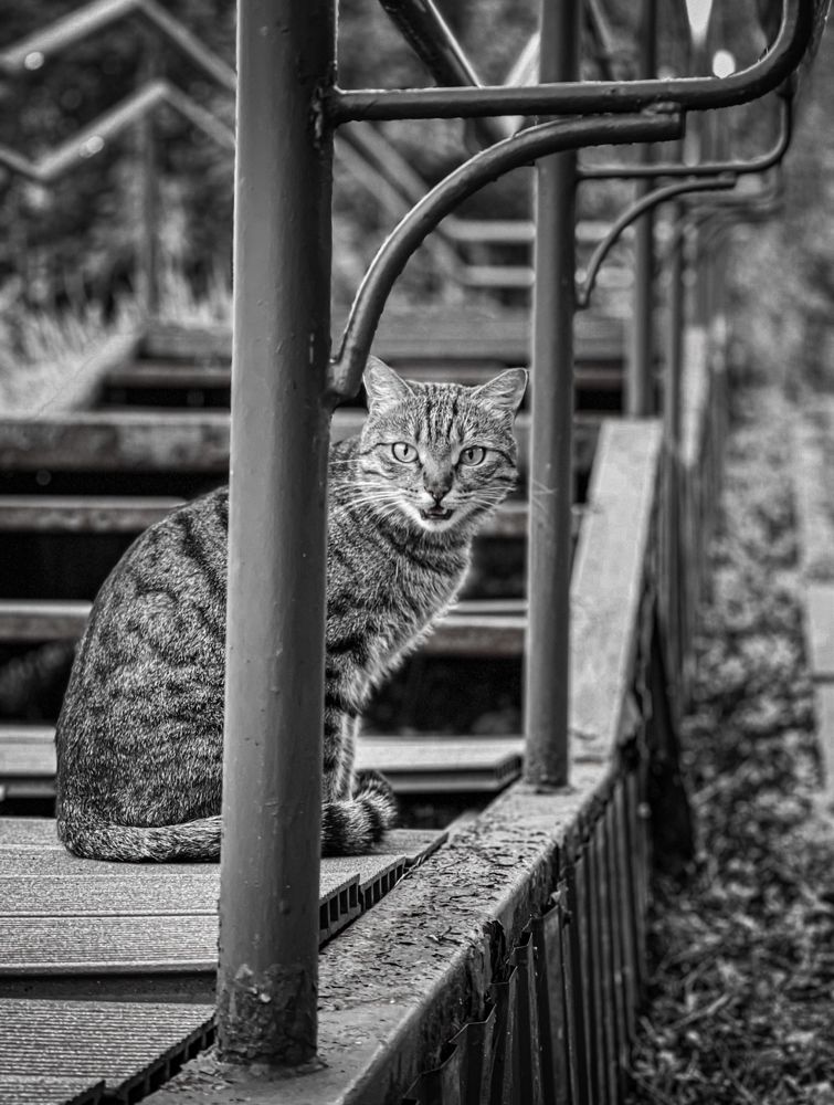 Фотография автора Таша Воскресная