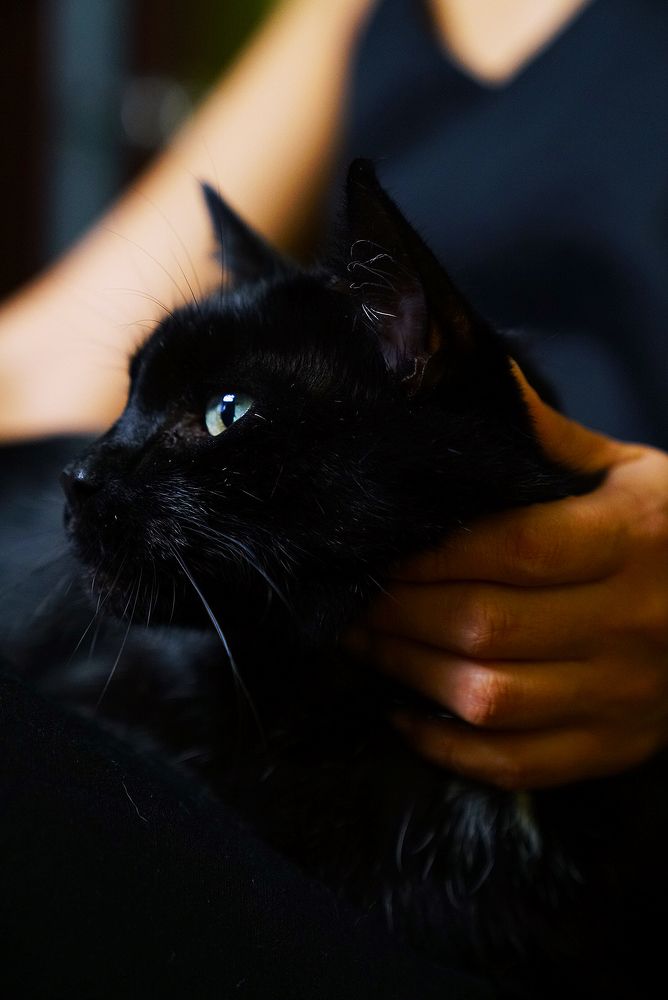 Фотография автора Таша Воскресная