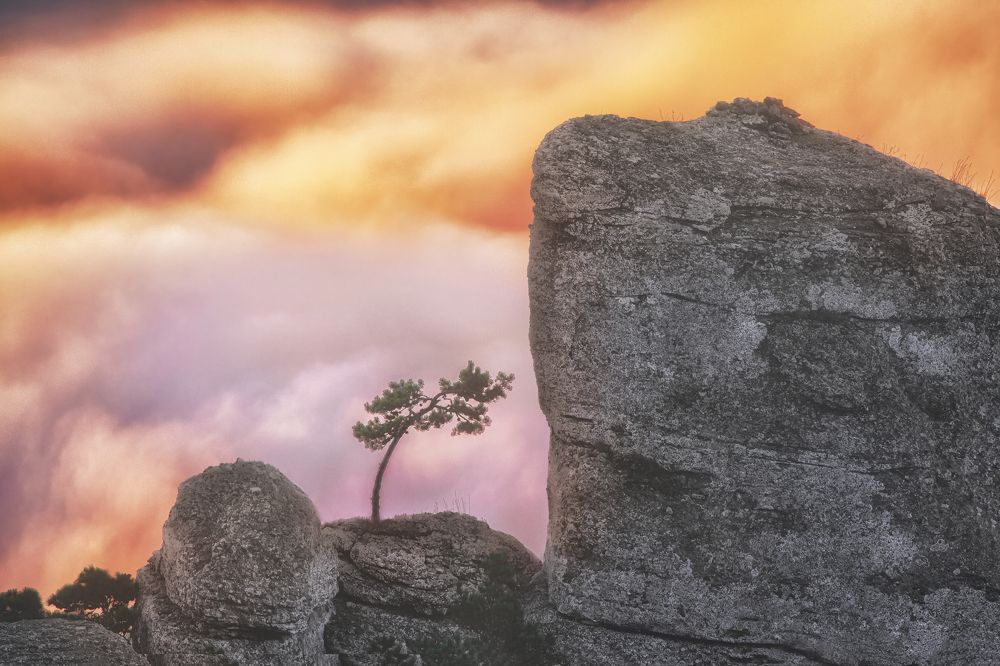 Photograph by Наталия Полякова