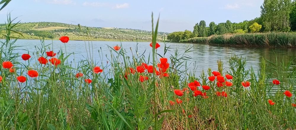 Photograph by Людмилка Лл