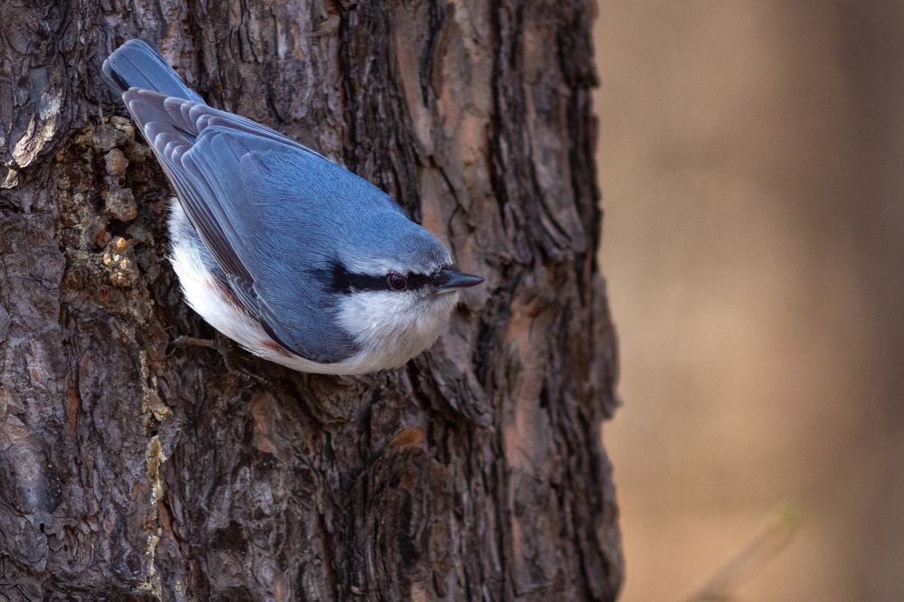Фотография автора Ильшат Абдуллин