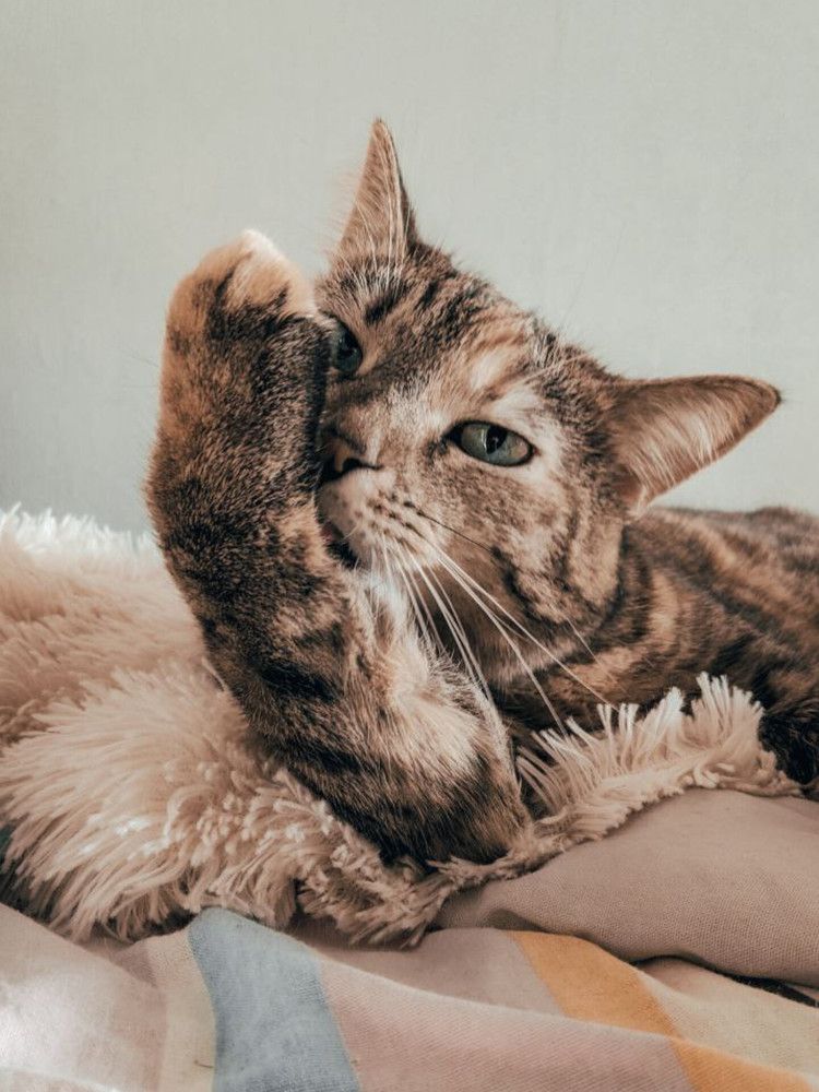 Photograph by Дарья Макаревич