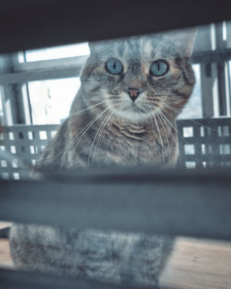 Photograph by Дарья Макаревич