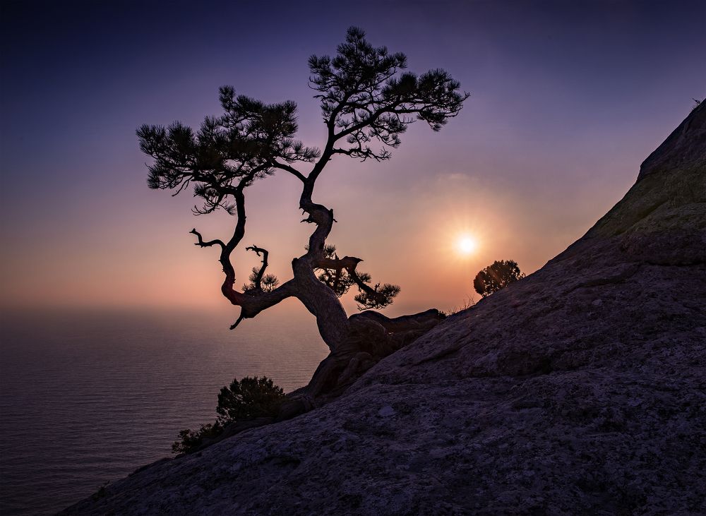 Photograph by Дмитрий Юдин