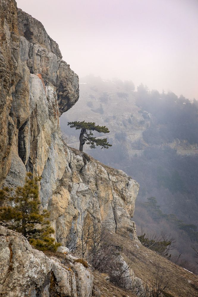 Photograph by Дмитрий Юдин