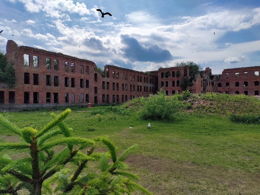 Photograph by Елена Шишкина