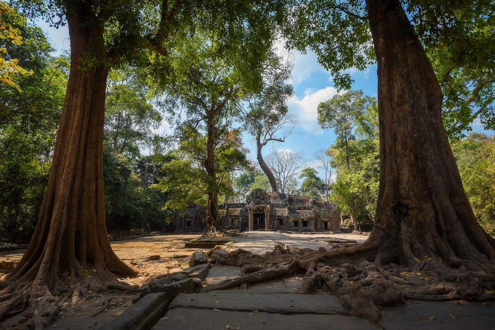 Фотография автора Mariyana Atanasova - Lucero