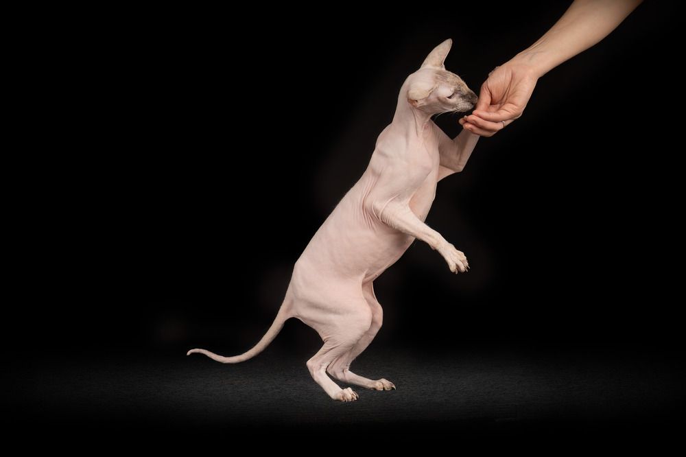 Photograph by Марина Виноградова