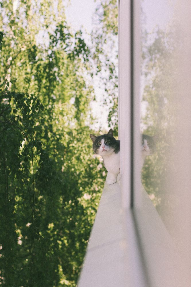 Photograph by Dmitriy Stepanov