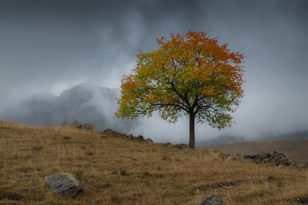 Photograph by Tatiana Alieva