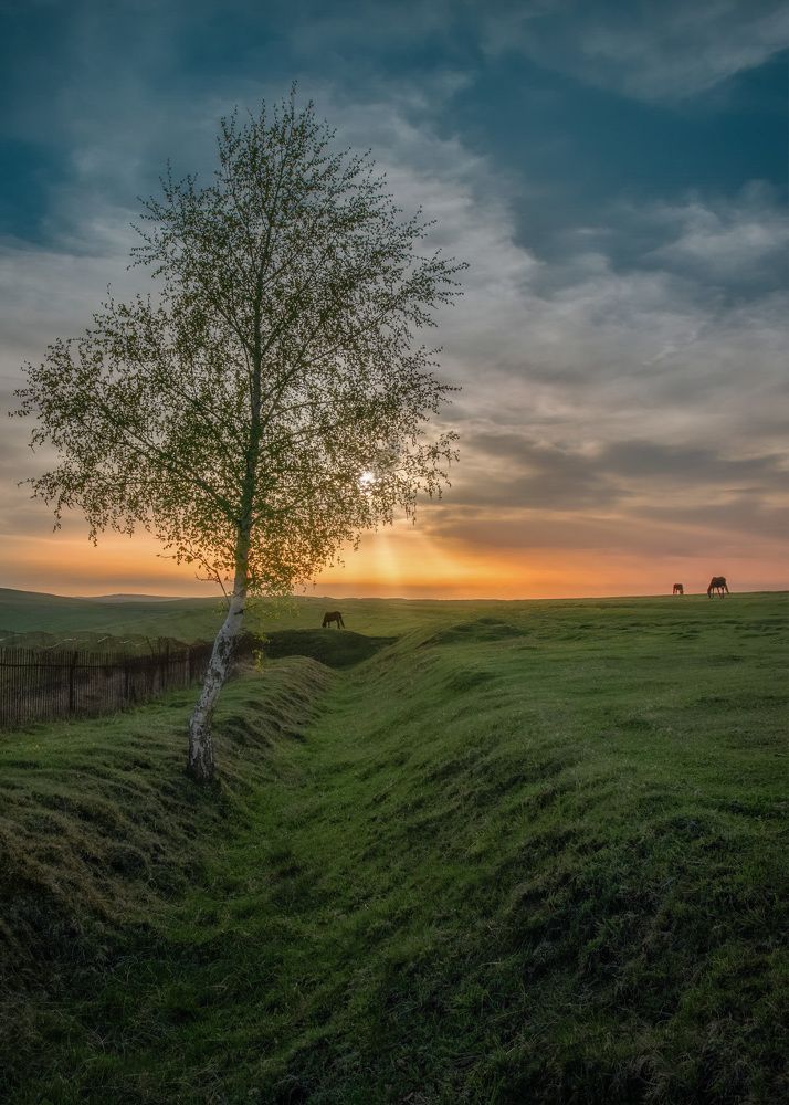 Photograph by Tatiana Alieva