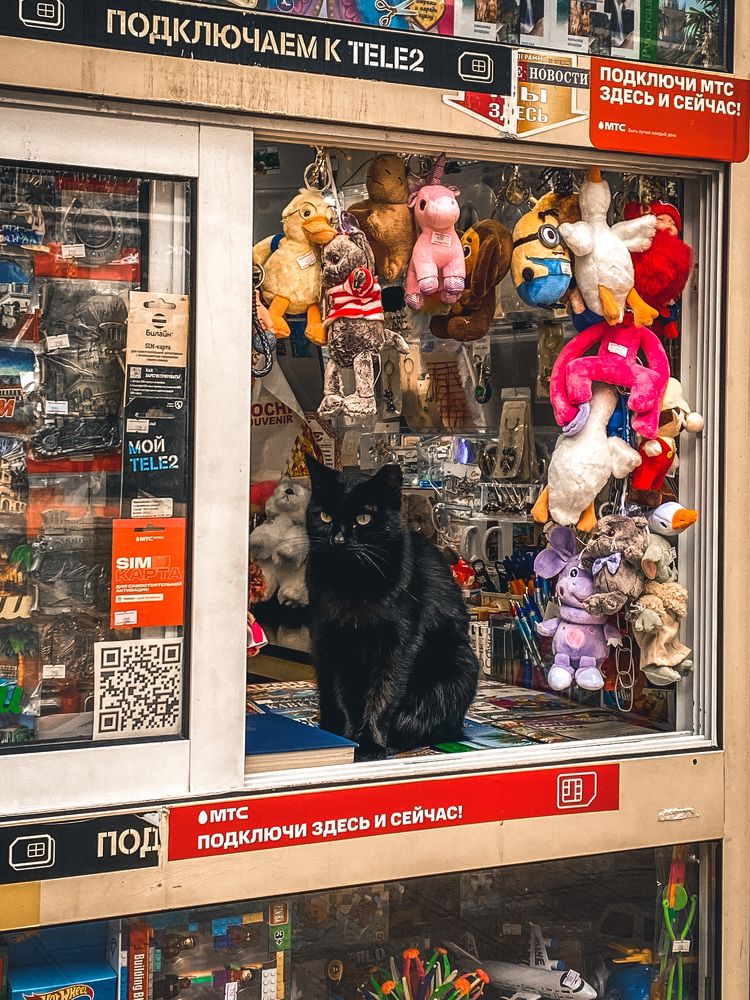 Photograph by Дарья Андреева