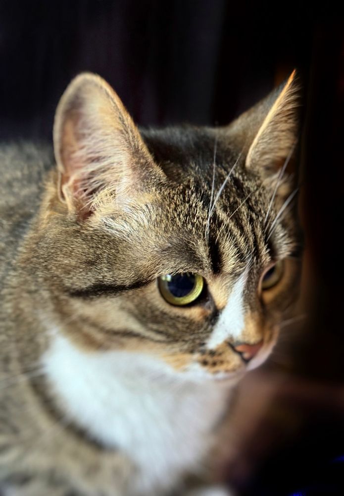 Photograph by Yuliana Shabovta