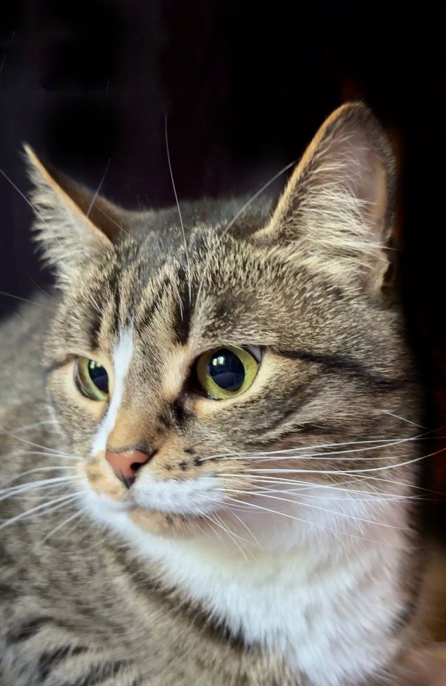 Photograph by Yuliana Shabovta