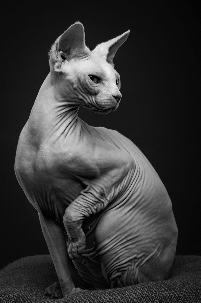 Photograph by Дёгтев Евгений