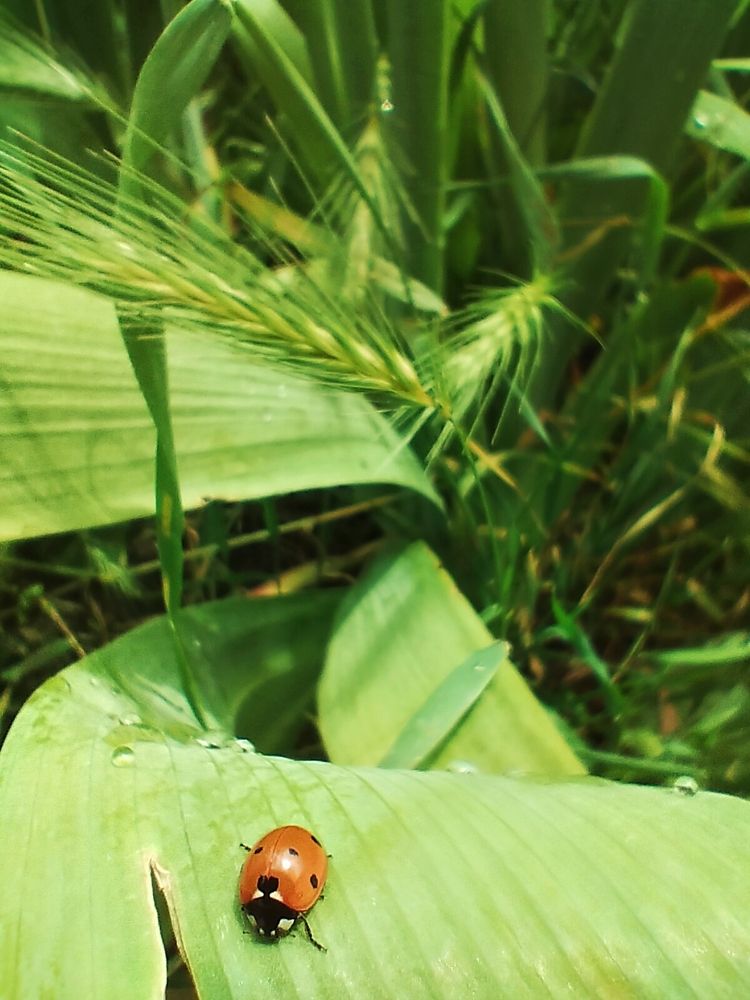 Photograph by Светлана Мозговая