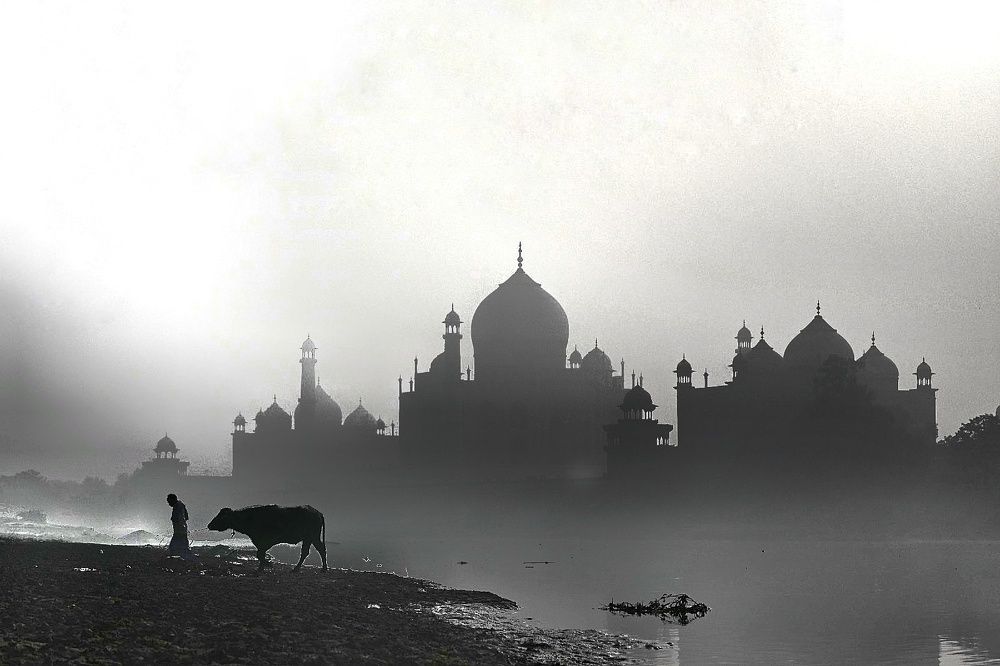 Photograph by Harsh Srivastava