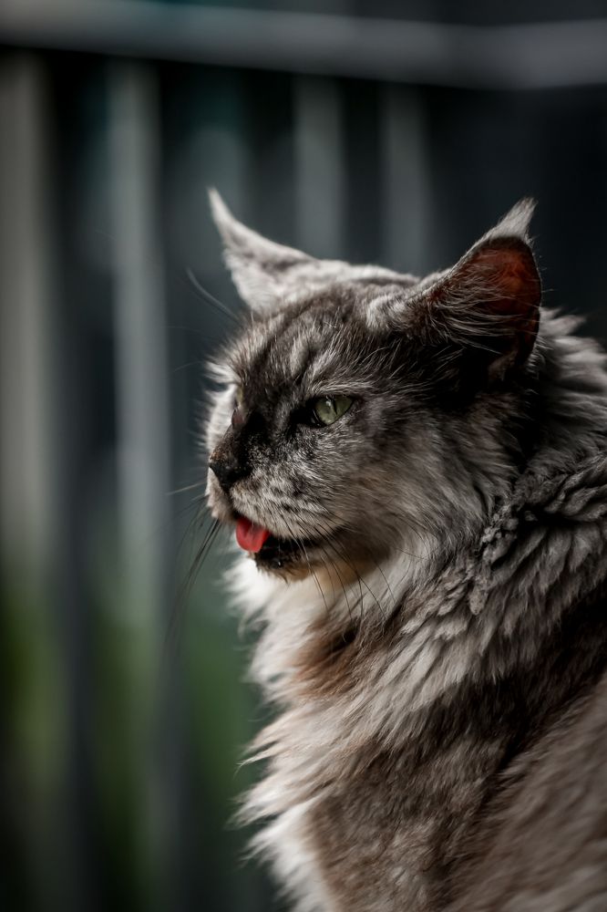 Photograph by Елена Цырюк