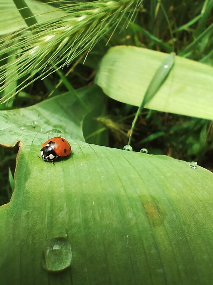 Photograph by Светлана Мозговая