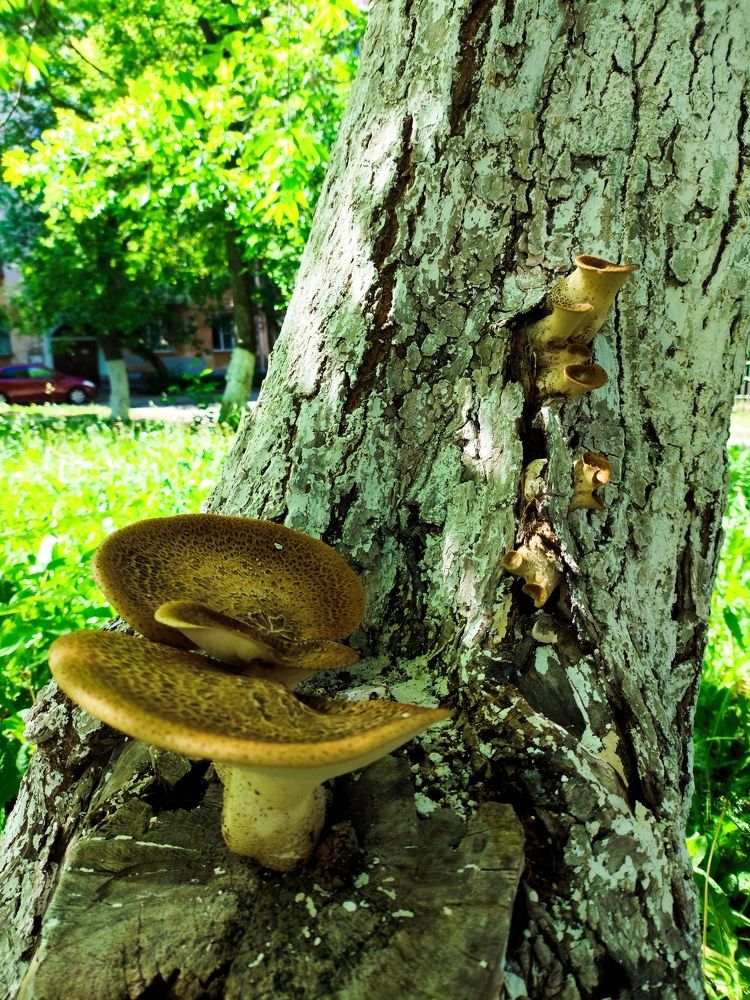 Photograph by Наталья