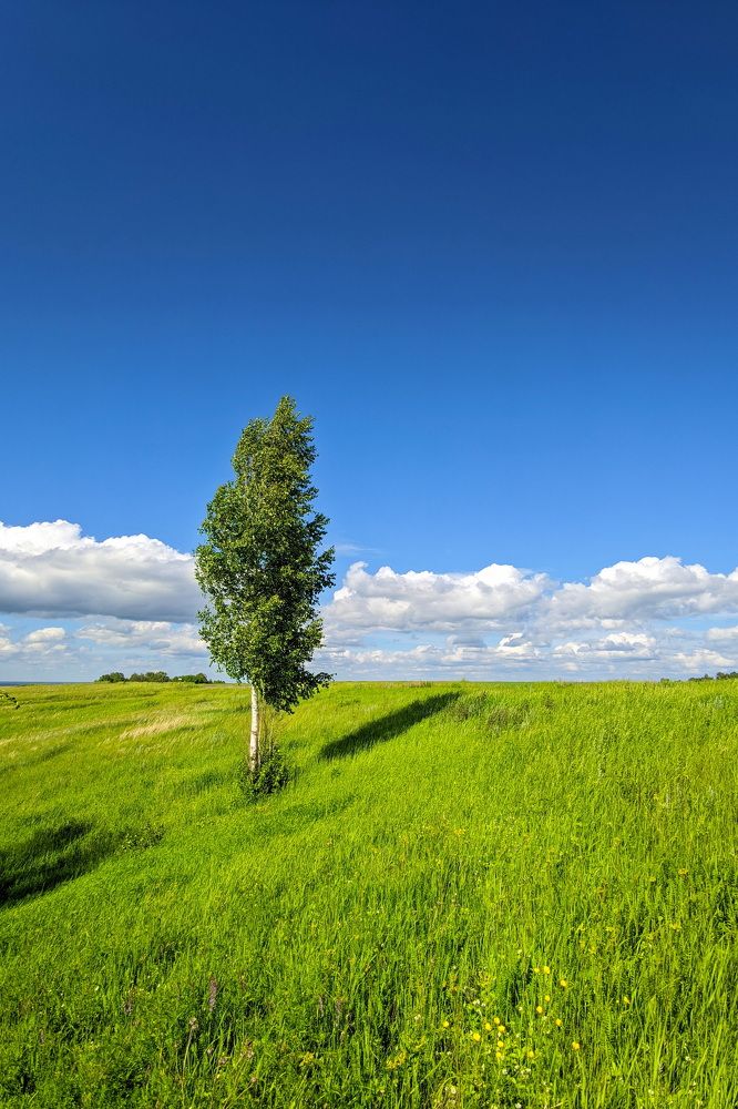 Photograph by Кузнецов Дмитрий