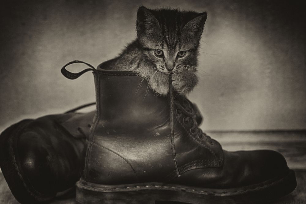 Photograph by Иван Волков