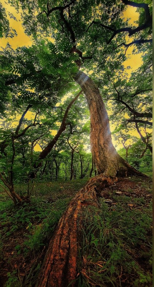 Фотография автора reyhane  khavaninzadeh