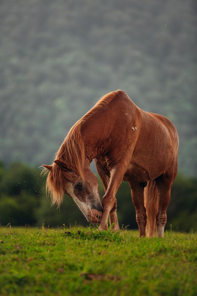 Фотография автора Вазген Бояджян