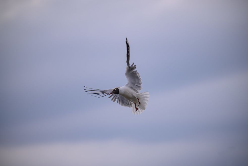 Photograph by Егор Кондратьев