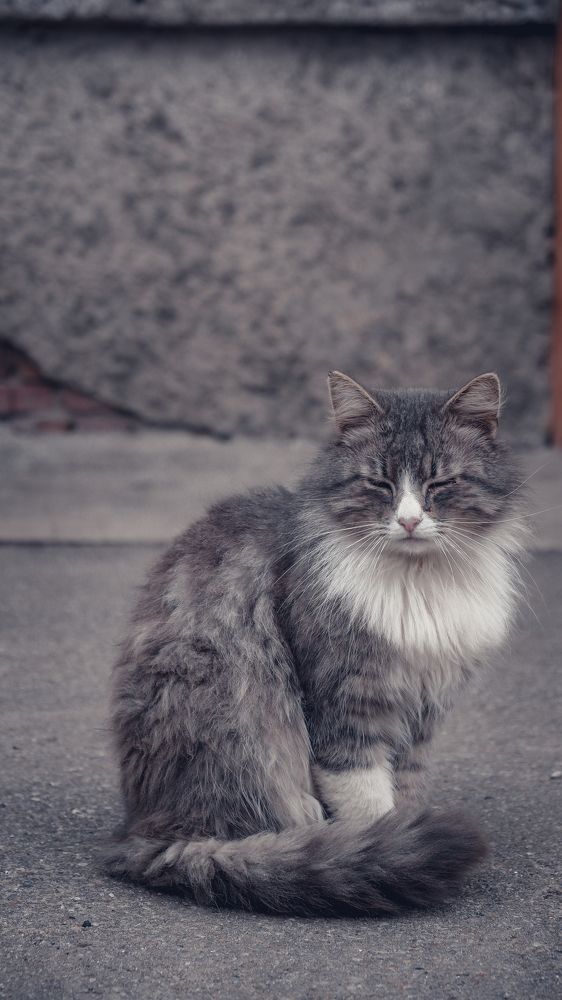 Фотография автора Медведева Елена