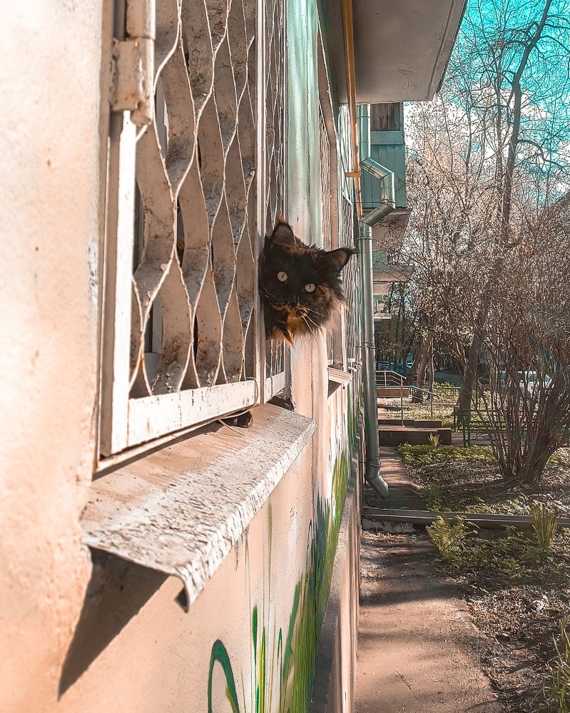 Фотография автора Медведева Елена