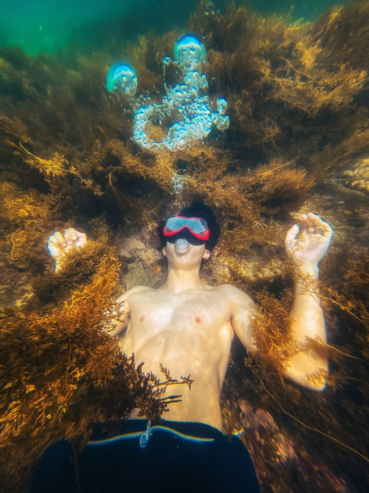 Immerse yourself in the sea